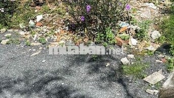 💥AN PHÚ ĐÔNG Ô TÔ 7 CHỖ TỚI ĐẤT 100M2 FULL THỔ GIÁ CHỈ ĐÚNG 4 TỶ