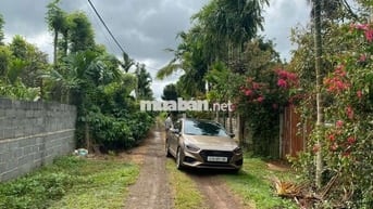 🔥 4 sào đất Sầu Riêng + Tiêu đường KA6 Eatu ( Phường TÂN AN mới BMT )