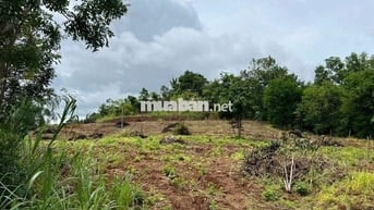 🚨 8 xào khối 15 Phường Khánh Xuân ( thực tế khoảng 1 Ha ) !
🌈