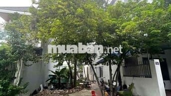 Đất Phú Lợi TDM cũ,Huỳnh Văn Nghệ thông Lê Thị Trung lõi trung tâm TP