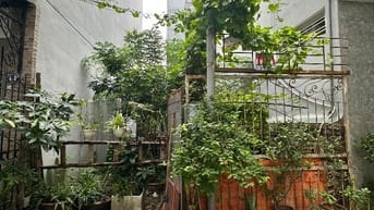 Cực hiếm – Đất Tư Đình ô tô vào, sát cầu Trần Hưng Đạo, Sinh lời cao  