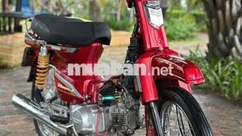 Honda Dream Thái 1998 Dọn Kiểng Bao Êm Xe Đẹp