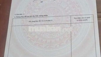 Đất mẫu giá rẻ đường ĐH-507 xã An Linh 1,8ha giá 10,9 tỷ