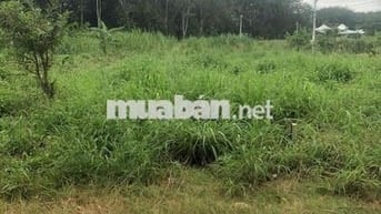 Sang nhanh lô đất ở 183m2 gần trường Nguyễn Huệ giá chỉ 270tr