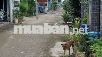 Cho thuê nhà tl 15 gần chung cư tl 2p ngủ giá 5tr5/th