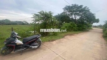 5x37 full thổ cư ,bê tông Lộc Hoà , SHR , đất bằng phẳng