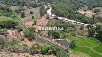 Kẹt tiền bán rẻ farm gần TP Phan Rang