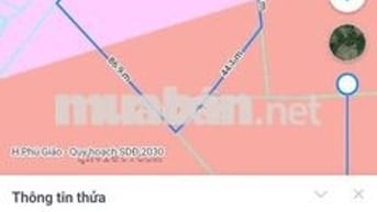 Đất sào xã An Linh 4.000m² có 300m thổ cư giá bán 2 tỷ 500 triệu