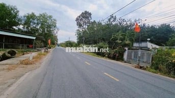 Lô Đất Mặt Tiền DH519 Cần Bán Gấp