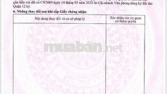 Lô góc 2 mặt tiền full thổ 53.3 m2 ,APD 25 , gần sông SG.