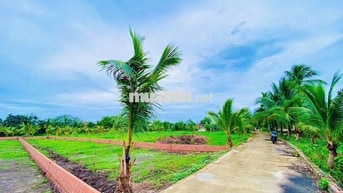 CẦN BÁN LÔ ĐẤT THỔ CƯ TRUNG TÂM TRẢNG BÀNG,TÂY NINH DIỆN TÍCH 800m2