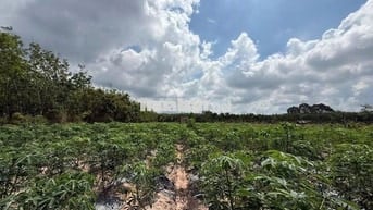 Cần bán lô đất 1000m2 đường Hương Lộ 2, Trảng Bàng, Tây Ninh, giá 1tỷ2