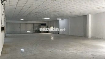 CHO THUÊ KHO,XƯỞNG 350M² GIÁ 20TR/T, Đ LÊ TRỌNG TẤN