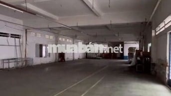 Cần cho thuê kho ở Huỳnh Tấn Phát diện tích 300m2 có điện 3 pha