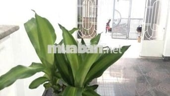 🏠 CHO THUÊ NHÀ NGUYÊN CĂN HẺM TRƯỜNG SƠN–Q10 (3,5*15m2) dọn vào ở ngay