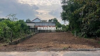 ĐẤT Ở 350 M2 MT ĐƯỜNG NHỰA XÃ THÁI MỸ, CỦ CHI, ĐÔNG DÂN CƯ GIÁ 1,7 TỶ