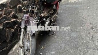 Bán dream lùn nhật