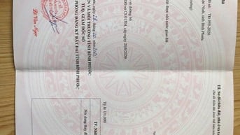 📣 BÁN ĐẤT LỘC KHÁNH, LỘC NINH 1.010M² – GIÁ CHỈ 550 TRIỆU – SỔ SẴN, Đ