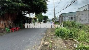 Chính Chủ Bán: Đất 2 mặt tiền đường nhựa, 226m vuông, TP.HCM