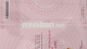 hàng chuẩn lợi thế về giá cần thanh khoản