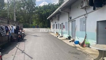 BÁN ĐẤT THỔ CƯ ĐƯỜNG CÂY TRÔM MỸ KHÁNH - THÁI MỸ - SỔ HỒNG RIÊNG