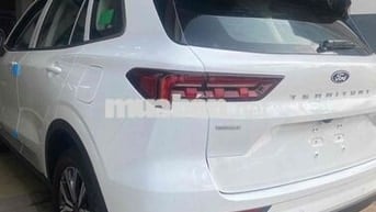 2025 Territory Trend Trắng bank 85%, lãi 7,6%