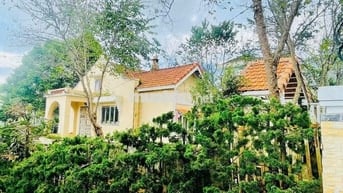 Cần bán nhanh lô đất 288,8m2 10x28,8m giá 589triệu có sẵn căn villa cũ