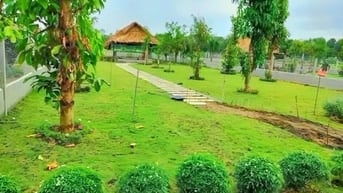 Đất nhà vườn giá ngộp gần TTHC xả Phú giáo 550tr /500m2 thổ cư sổ sẳn 