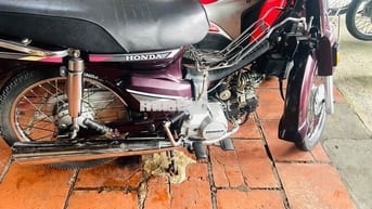 Dream Thái 1994 chính chủ