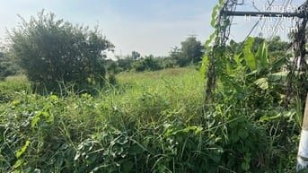 CÔNG TY ĐẤU GIÁ HỢP DANH MINH PHÁP THÔNG BÁO ĐẤU GIÁ TÀI SẢN