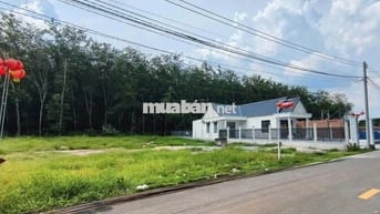 Sang lô đất đẹp cạnh chợ MT Dh504, SHR, khu dân cư kinh doanh sầm uất