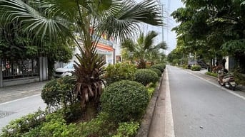 CHÍNH CHỦ TÔI BÁN BIỆT THỰ XUÂN PHƯƠNG XÂY THÔ DT150M GIÁ HƠN 30 TỶ 