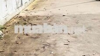 chính chủ sang nhanh lô đất tân kim, long An