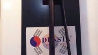  🔥 ĐẶC BIỆT – Ưu đãi dành riêng cho sen cây chỉ duy nhất ngày 11/11/2