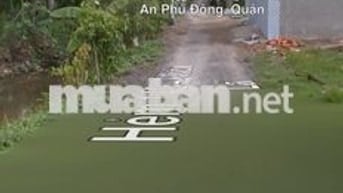 Bán nhà cấp 4 hẻm thông sơn ca