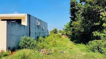 Mặt Tiền Kinh Doanh đường nhựa 8m Thị Trấn Củ Chi 273m2 Sổ Hồng Riêng