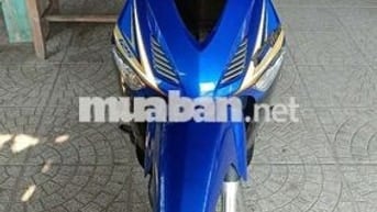 Neo kim 2006 úp áo 2009