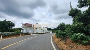 Bán lô đất vườn cafe + trái cây nguồn thu ổn định ven Đà Lạt