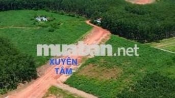 Đất nền giá rẻ - vị trí siêu tiềm năng ngang KCN Tân Tiến 1-2