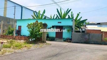 ✅ ĐẤT 1/ NGUYỄN VĂN KHẠ–TÂN AN HỘI: 94m2 (5x19) . Giá 1 tỷ 300