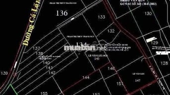 Kẹt tiền bán gấp khu đất lúa (4620m2) đường Cá lăng, xã phú hoà đông