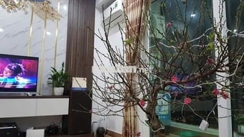 BÁN CĂN HỘ CHUNG CƯ B32 ĐẠI MỖ – GIÁ TỐT, Ở NGAY!