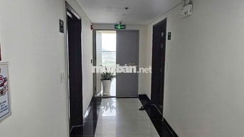 Cho thuê căn hộ FPT Plaza 2, 8 triệu/th, 79 m2, Đà Nẵng