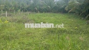 Cực đẹp bán 2 nền đất liền kề ngay Cụm CN Bình Ninh giá chỉ 400 triệu