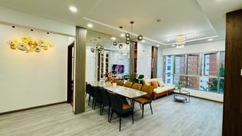 Căn hộ cao cấp SHR 96m2 3pn+1 toà Ruby Celadon Tân Phú Block B