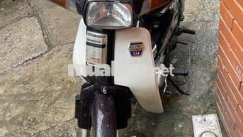 cần bán dream thái