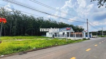 ANH 8 CẦN SANG GẤP 4 MIẾNG ĐẤT TRÊN MẶT TIỀN ĐƯỜNG HUYỆN 32M