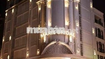 🏙️ BÁN TÒA NHÀ GÓC 2 MẶT TIỀN – SIÊU VỊ TRÍ TRUNG TÂM TÂN MỸ, Q.7