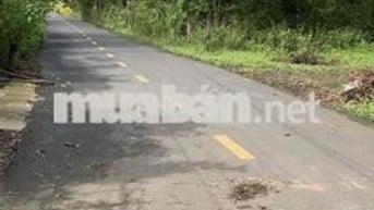 Đất sổ hồng 2300m2 ngay Tỉnh lộ 328 mới  Xã Hồ Tràm TPHCM