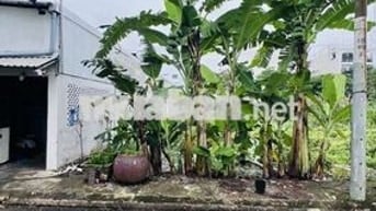 Bán lô đất đẹp, đường 7m Nguyễn Văn Tạo, 81m2, ngang 6.5, chỉ 3.x tỷ